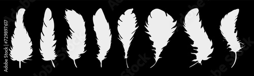 Set of realistic vector goose or swan feathers of various shapes. Ecological feather filler for pillows, blankets or jackets.Vector concept design,line art.