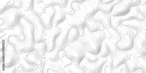 3d render, abstract white paper background. Paper cut vector art background banner texture. multi layer cutout geometric pattern on vector, Abstract soft white background with waves.