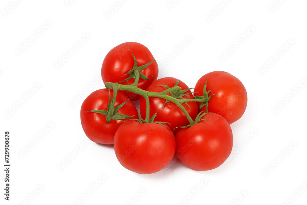tomatoes on a white background tomatoes on a white background