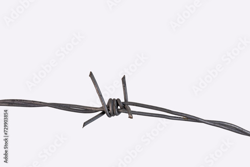 Barbed wire on a white background. One spike close-up.