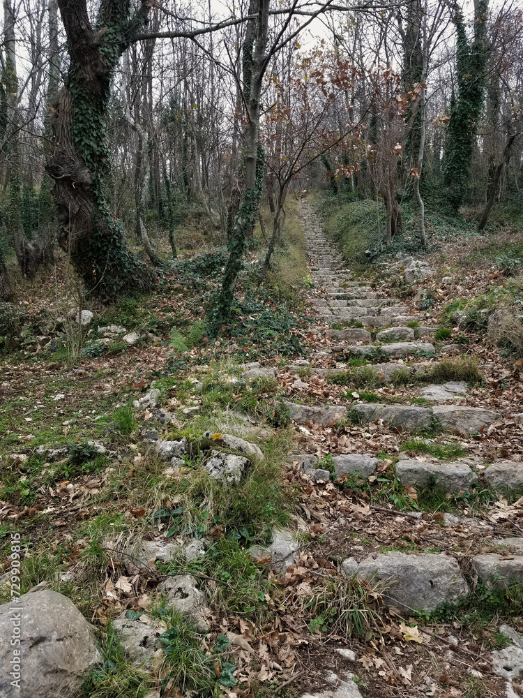 Old stairs up the mountain, Agerola, Amalfi Coast, Italy Old stairs up the mountain, Agerola, Amalfi Coast, Italy