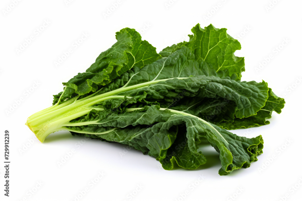 Bunch of green leafy vegetables on white background. Bunch of green leafy vegetables on white background.