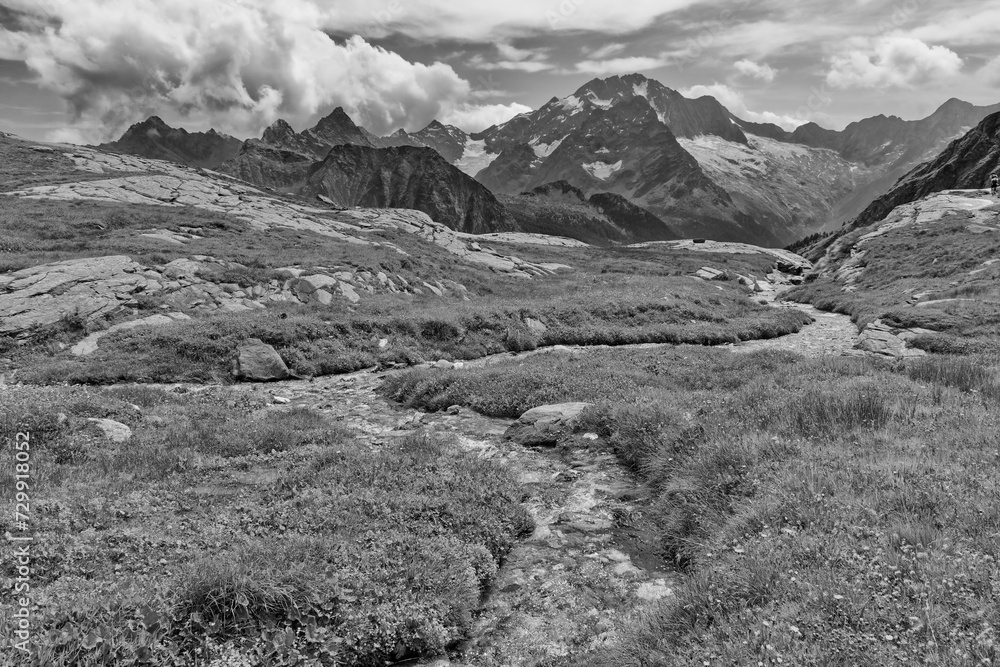 Mountain meadow with a stream and the peak of Monte Disgrazia in the background, black and white photo, Valmalenco, Italian mountains, Lombardy, Alps, Italy, Europe