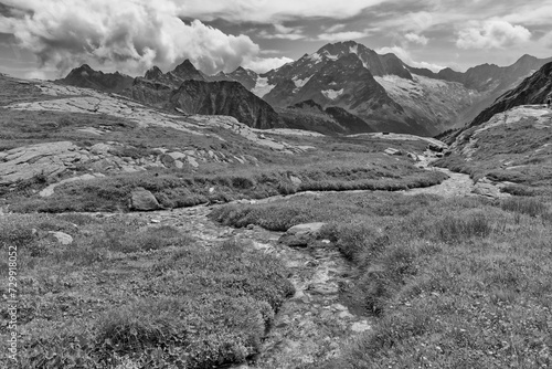 Mountain meadow with a stream and the peak of Monte Disgrazia in the background, black and white photo, Valmalenco, Italian mountains, Lombardy, Alps, Italy, Europe