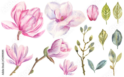 Watercolor pink flowers  magnolia cherry  set of spring plants collection  twigs of delicate summer leaves hand drawn clipart png on a transparent background