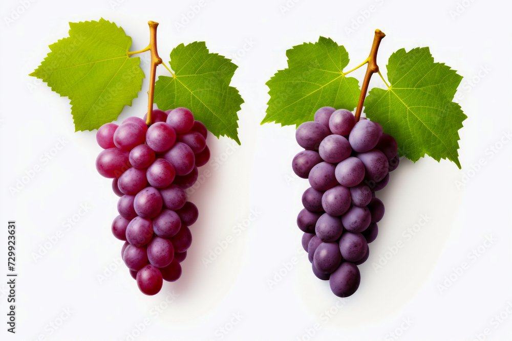 Two bunches of grapes with green leaves on them, one is red. Two bunches of grapes with green leaves on them, one is red.