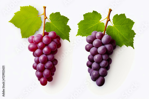 Two bunches of grapes with green leaves on them, one is red.