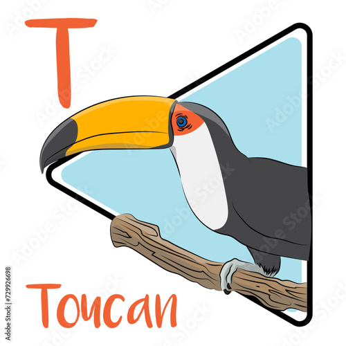 Toucans are arboreal and have large, often colorful bills. A toucan’s bill can equal one-third of its body's length. They are omnivores eating insects, eggs, and fruit.