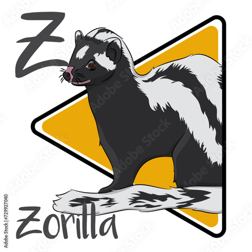 Zorilla also called African skunk lives predominantly in dry climates, such as the savannahs. Like other mustelids, the zorilla is a carnivore. The zorilla is a solitary and nocturnal creature.