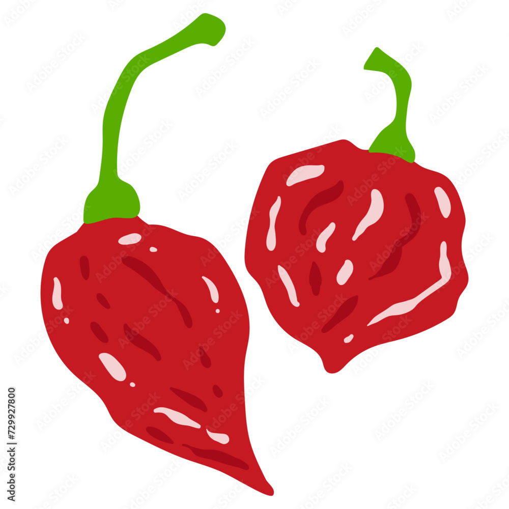 Stockvector ジョロキア(ブート・ジョロキア)のベクターイラスト。 Adobe Stock