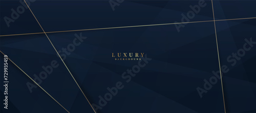 Luxury and elegant vector background illustration, business premium banner for gold and silver and jewelry