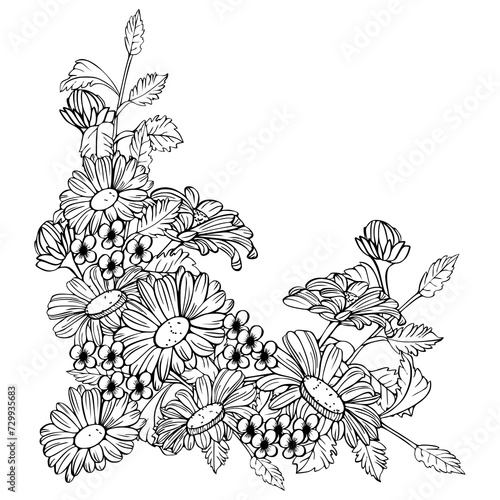 Fototapeta Naklejka Na Ścianę i Meble -  Hand-drawn line art flower illustration. It features a floral design of aster flowers and buds, with beautiful leaves. This highly detailed botanical illustration is perfect for wedding invitations.