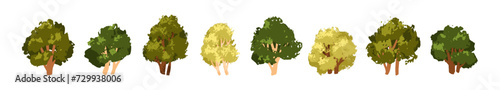 Deciduous trees set. Forest plants with green leaf, lush crowns, branches, trunks. Hand-drawn foliage nature elements. Abstract botanical flat vector illustrations isolated on white background