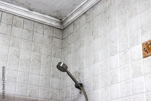 A bathroom with mold on the ceiling. Mold and stain cleaning.