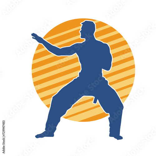 Silhouette of a man in oriental martial art pose. Silhouette of a male in martial art move.