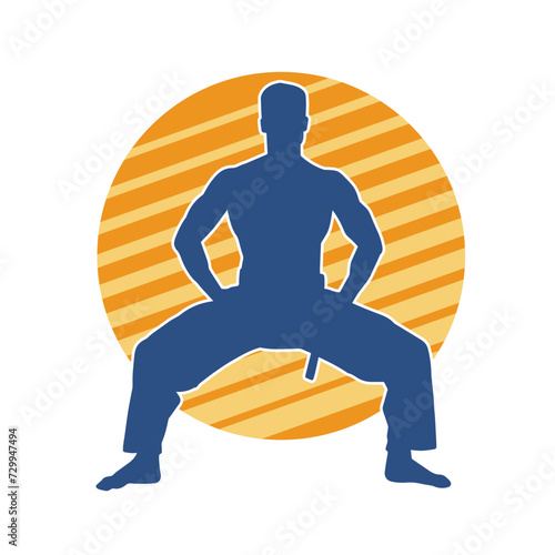 Silhouette of a man in oriental martial art pose. Silhouette of a male in martial art move.