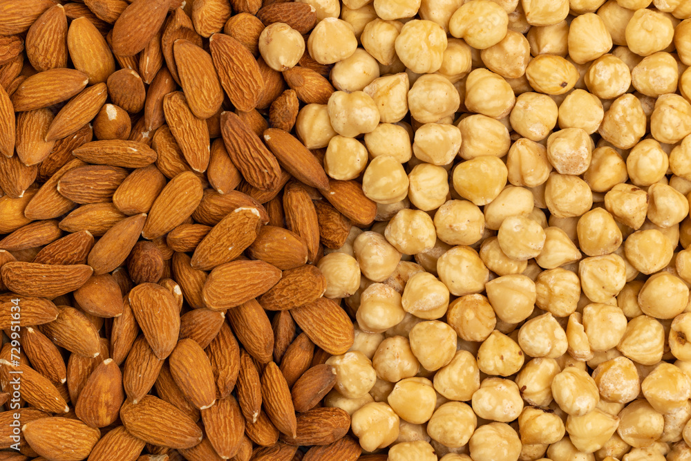 Dried almond and hazelnut kernels in a layer. Nuts background. Dried almond and hazelnut kernels in a layer. Nuts background.