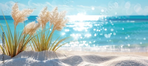 Fototapeta Naklejka Na Ścianę i Meble -  Sandy beach with dunes and beige plants in soft sunlight, abstract background with text space