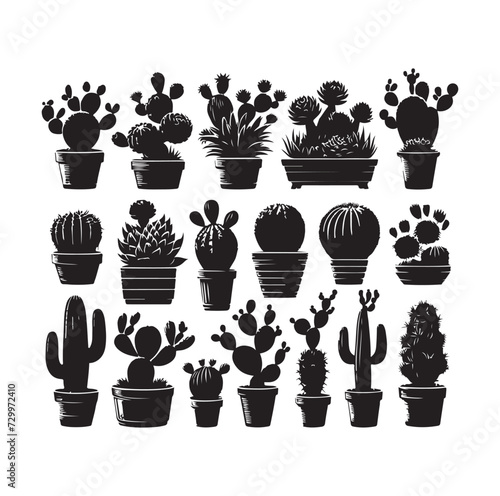 set different types of cactus vector