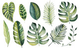 Watercolor set of bright tropical leaves