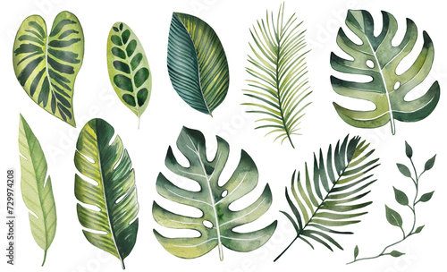 Watercolor set of bright tropical leaves photo