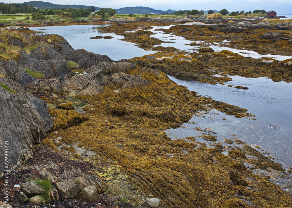 Landscape at Knaplundsoya at Godoystraumen in Nordland county, Norway, Europe
