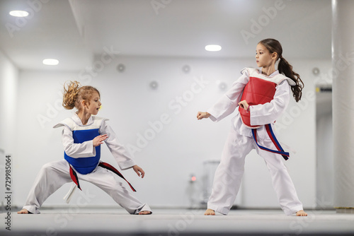 Quadro su tela Taekwondo kids in doboks practicing combat in martial art school.