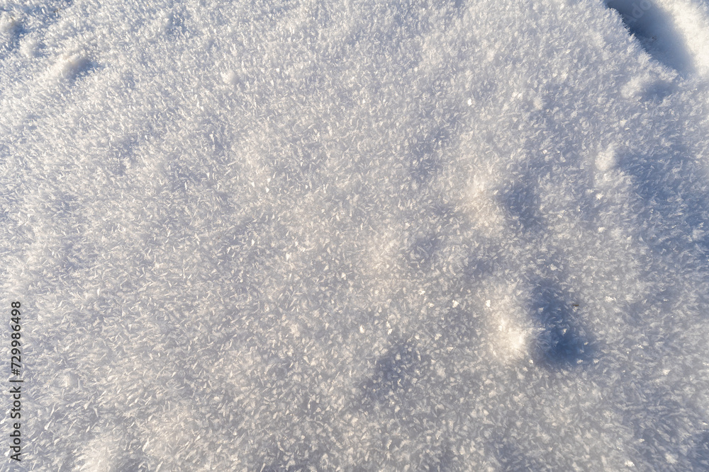 Obraz premium 冬の風景