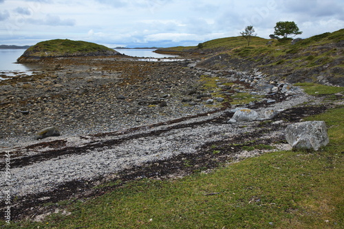 Landscape at the hiking track from Petter Dass Museum to Kongshaugen in Norway, Europe 
 photo