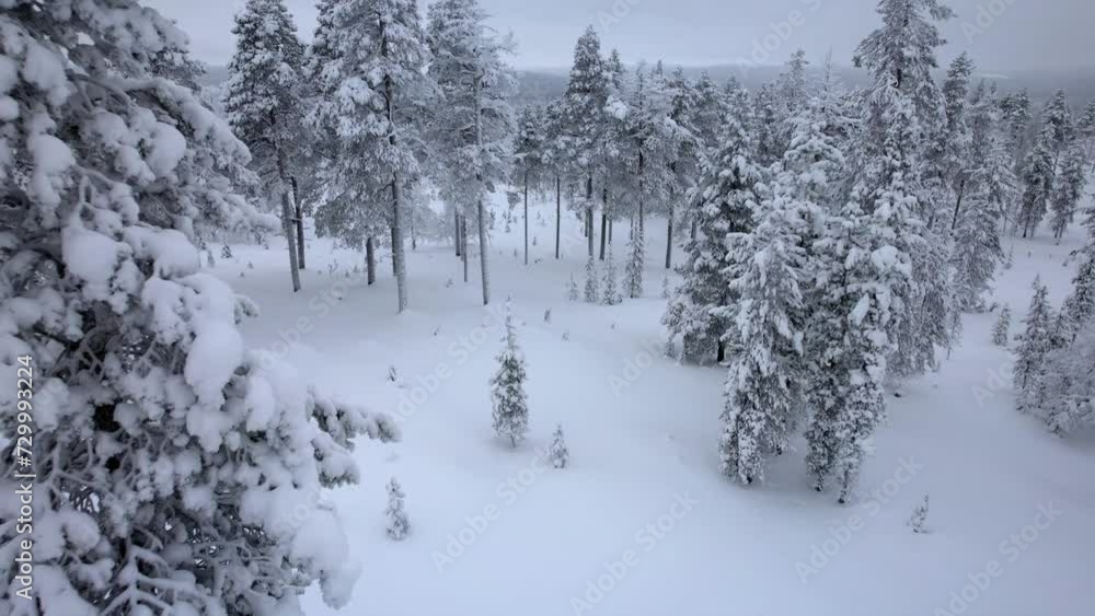 Drone Descends Into Scenic Winter Wonderland in Lapland, Finland, Arctic Circle Drone Descends Into Scenic Winter Wonderland in Lapland, Finland, Arctic Circle
