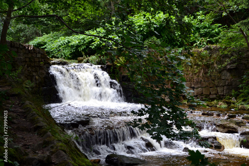 Karpacz, Poland. The Wild Waterfall (polish: Dziki wodospad) – an anti-rubble dam on the Lomnica River in Karpacz