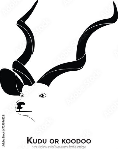 Kudu animal logo and icon
