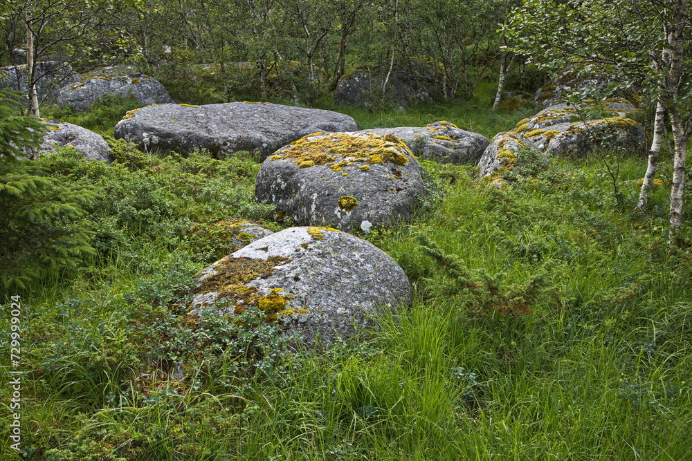 Granite rocks at Skulpturlandskap at Forvik in Norway, Europe
Granite rocks at Skulpturlandskap at Forvik in Norway, Europe
