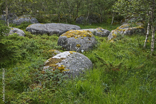 Granite rocks at Skulpturlandskap at Forvik in Norway, Europe 
