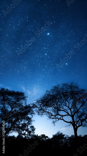 Moonlit night sky contributing to healthy ecosystems , moonlit night sky, healthy ecosystems, night