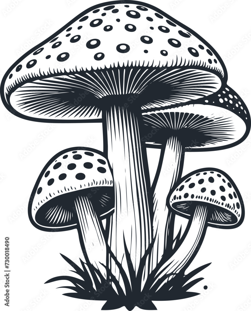 Bunch of mushrooms, vector illustration Bunch of mushrooms, vector illustration