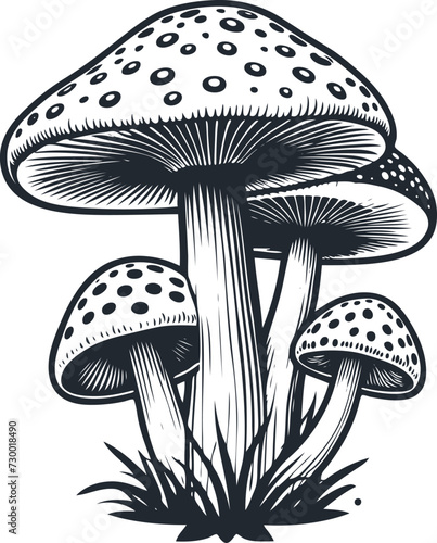 Bunch of mushrooms, vector illustration