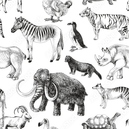 Fototapeta Naklejka Na Ścianę i Meble -  Seamless pattern with hand drawn extinct animals