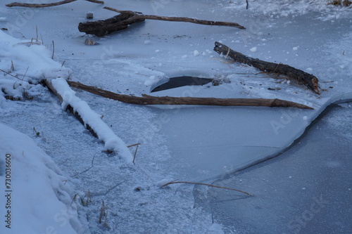 fallen branches on ice 2