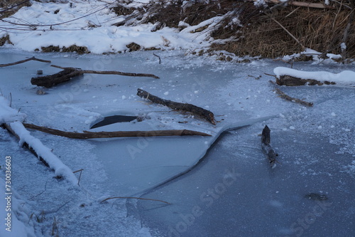 fallen branches on ice 1