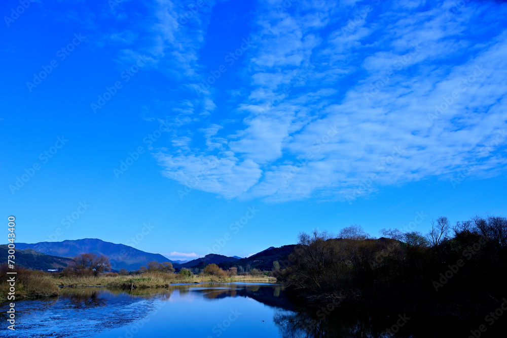 Fototapeta premium a wetland under a blue sky