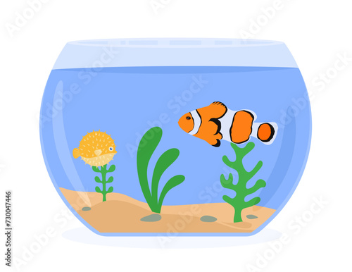 Aquarium with two fish. Clownfish and Puffer Fish in fishbowl in cartoon style. Aquarium with water, algae, sand and stones. Seaweeds, plants, underwater planting. Colored flat vector illustration