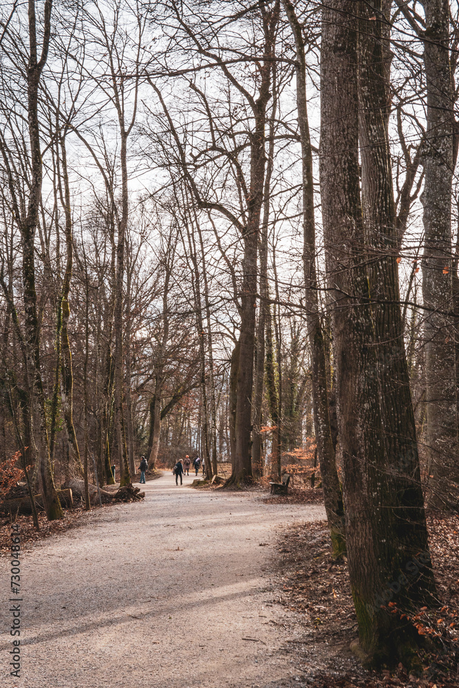 German Lakes, lakes in germany, alemania y sus lagos, vias nublados, cloudy day, beautiful view German Lakes, lakes in germany, alemania y sus lagos, vias nublados, cloudy day, beautiful view