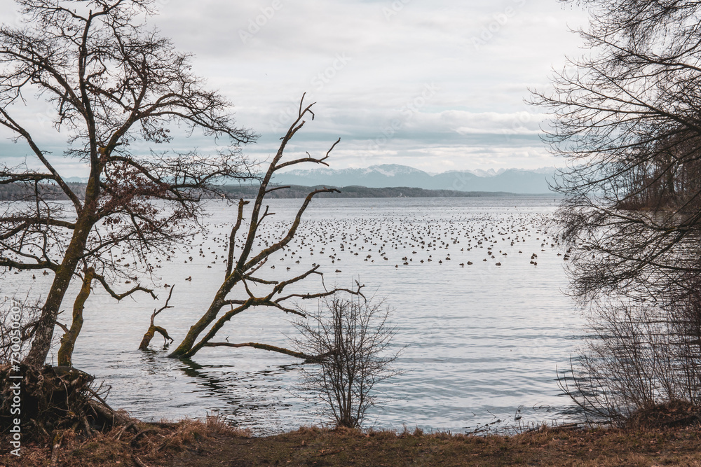 German Lakes, lakes in germany, alemania y sus lagos, vias nublados, cloudy day, beautiful view German Lakes, lakes in germany, alemania y sus lagos, vias nublados, cloudy day, beautiful view