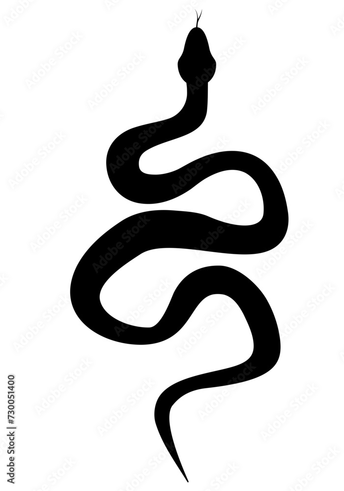 Fototapeta premium Abstract snake pattern