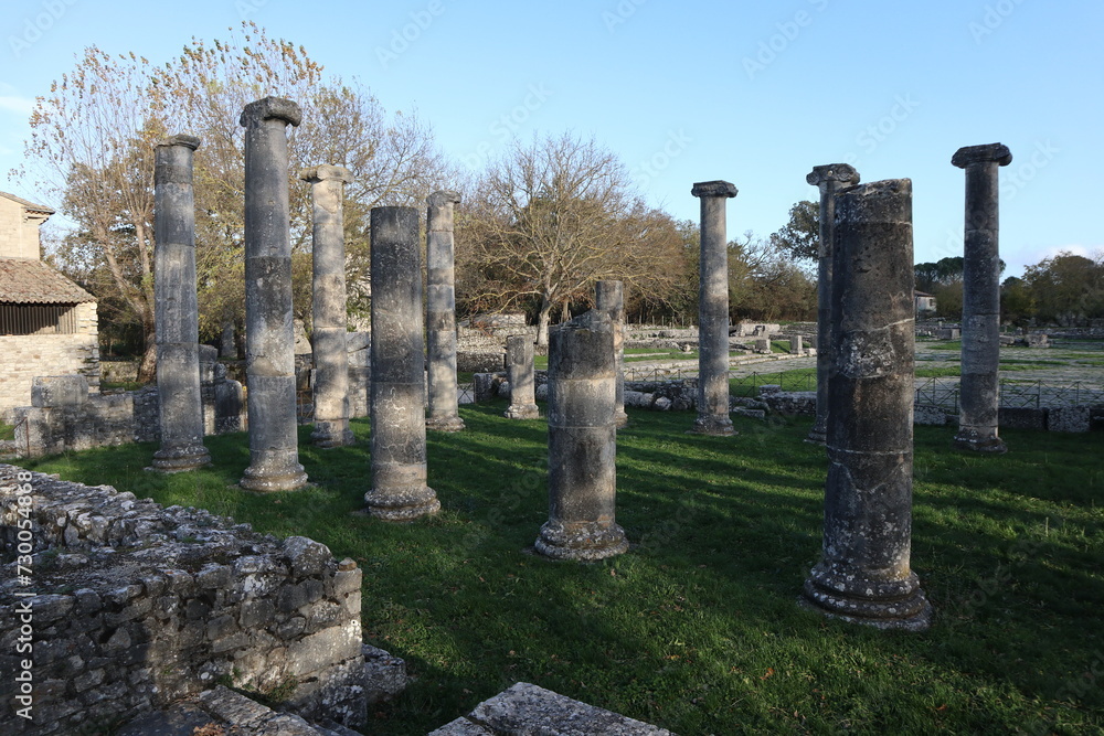 Altilia - Colonne della Basilica nel Parco Archeologico di Sepino