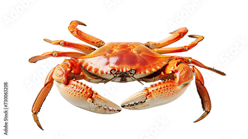 big crab on transparent background