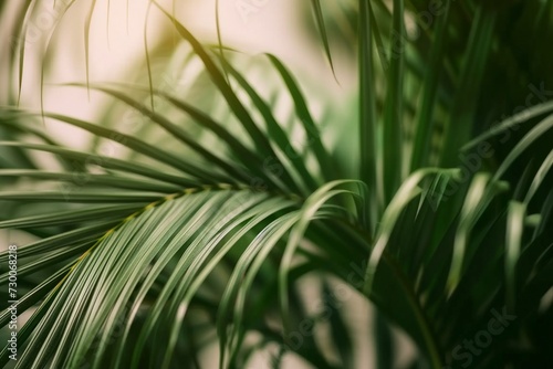 green palm leaves close up. sunlight falls on the leaves of a palm tree. generative ai.