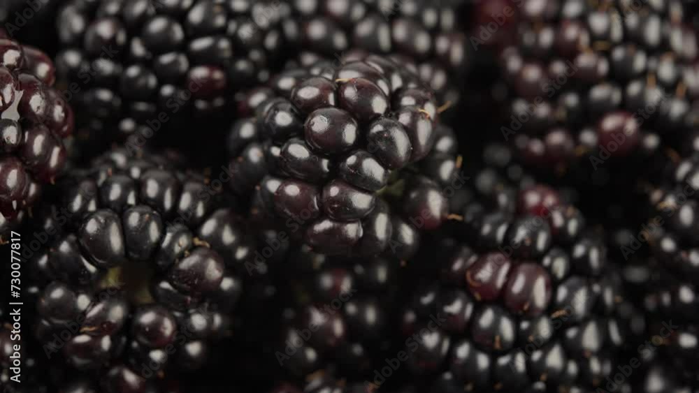 Fresh Blackberries Healthy Food Close-up Macro Fresh Blackberries Healthy Food Close-up Macro