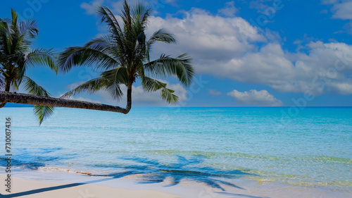 Fototapeta Naklejka Na Ścianę i Meble -  Summer palm tree  and Tropical beach with blue  of seashore background